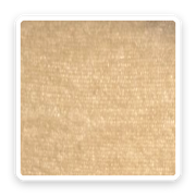 Surrey – Cream