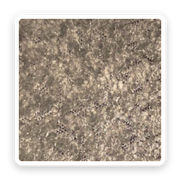 Teddy – Grey