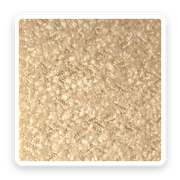 Teddy – Oatmeal