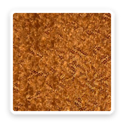 Teddy – Rust